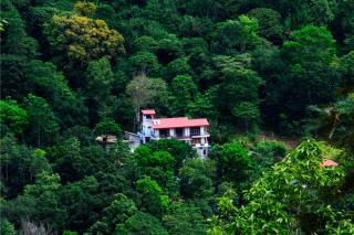 The Springfields Kandy Previously Madara Residence Kandy - Kandy - 0