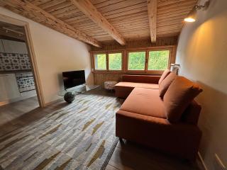 Apartment in the center of Pieve di Cadore - 9