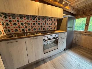 Apartment in the center of Pieve di Cadore - 1