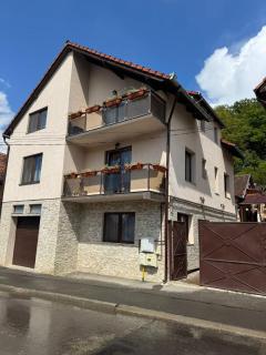Vi-la Sighisoara - 5