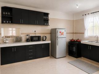 The Genesis Villa - 0