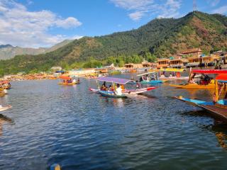 Luxurious Houseboat stay - 8