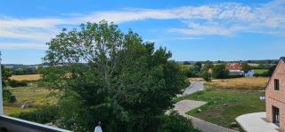Fernblick - 9