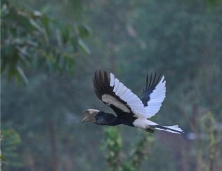 Tinkerbird Lodge Ltd - 1