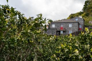 Liiiving in Azores - Foros Main House - 9