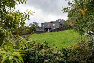 Liiiving in Azores - Foros Main House - 2