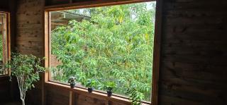 Romantic Getaway Luxury Cabin with Whirlpool - 9