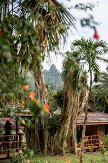 Eco Lodge Village Temanoha - 9