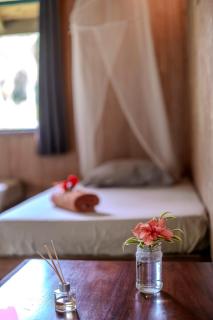 Eco Lodge Village Temanoha - 8