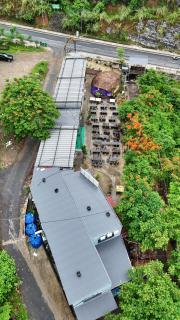 Quiri Hillside Cat Ba - 1