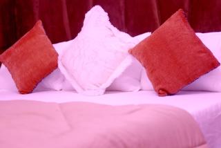 Levizon Hospitality - 2
