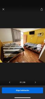 Hotel Los Pecanos Ica - 7