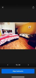 Hotel Los Pecanos Ica - 5