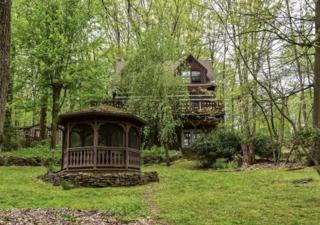 Fairyland Tiny Cottage on 6 Wooded Acres - 5