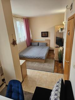 Hotel Rosica studio - 9