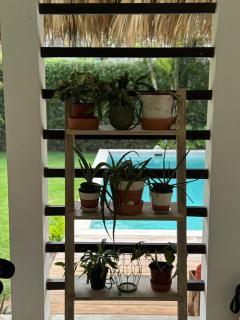 Vitao Garden - 5