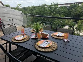 Luxury Playacar Penthouse with Private Rooftop Plunge Pool - Sleeps 9 - 3