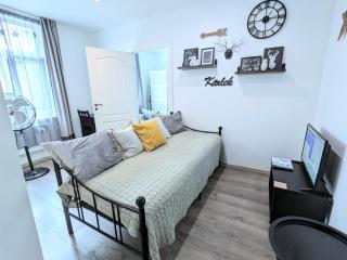 Čaka Non-smoking Apt and Free Parking - 5