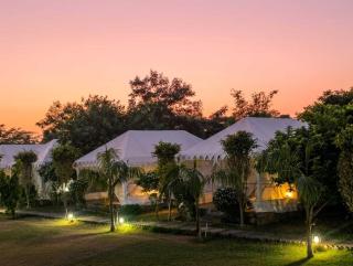 Tiger Resort Boho - 0