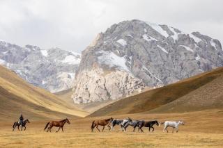 Kyzart nature& horse riding tour - 2