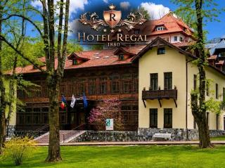 Hotel Regal 1880 - Boutique Hotel in Parcul Central Sinaia - 8