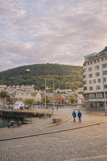 Bryggen og havneutsikt, Felles takterrasse - 3