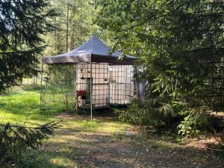 Lahemaa Nature Glamping - Haru - 2