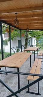 olya's garden - 2