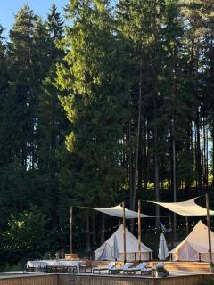 Šilynas Glamping - 2