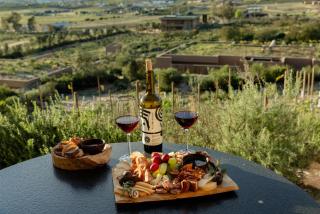 Banyan Tree Veya, Valle de Guadalupe - 7