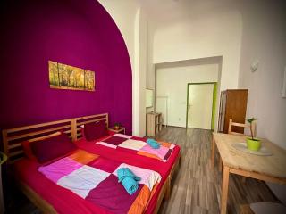 Charles bridge, Old town3 Min walk Private Room F - 7