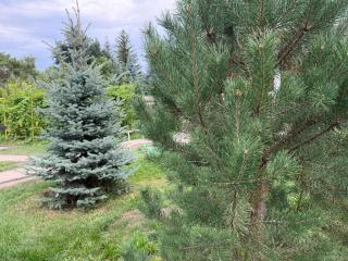 RiverHouseAktobe - 8