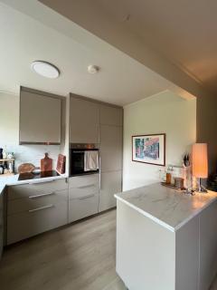 Cozy, modern apartment Short distance to ONS - 4