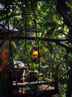 Cabana do gnomo - 1