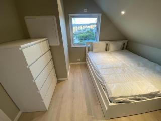Bright & Central 2nd floor apartment Walking distance to everything & Parking - 2