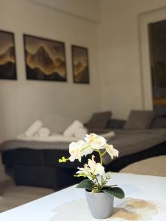 Apartment Dion - 0