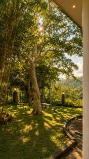 Windy Rich Bungalow Belihuloya - 4