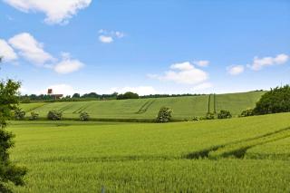 4015-Stege-Sondre-Landevej-19 - 9