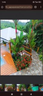 Studio charmant Le Marin avec piscine privée - 9