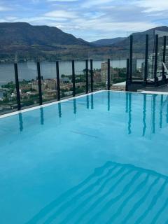 Rooftop Infinite Pool Iconic Lakeview Downtown Signature 2-Bedroom Loft - 5