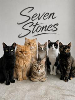 Seven Stones Langkawi - Adult only - 3