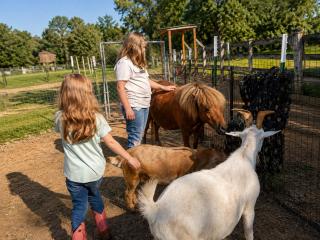 Farm Animals I Retro Museum I Fire Pit I Cozy Stay - 9