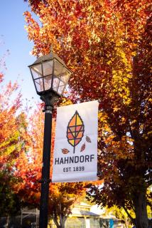 Hahndorf on Main - 2