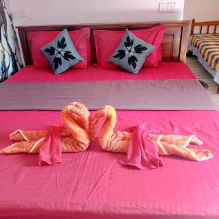 Nelum Home stay - 0