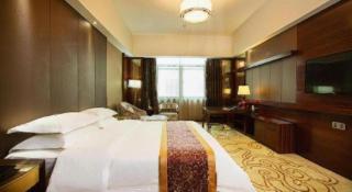 Zhengzhou Airport Hotel - 3