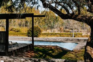 Appaloosa Luxury Glamping Tent near Cullinan - 1