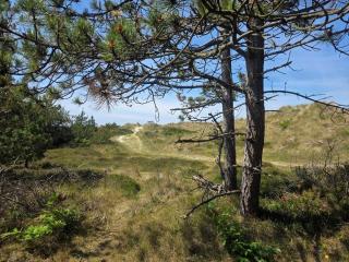 13390-1-Hojby-Rylevang-7 - 9
