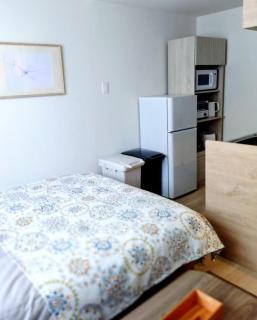 Huayue sapporo102 - Vacation STAY 22492 - 4