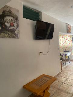 El henequén - 7