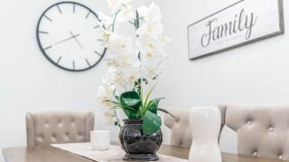 Luxurious New Home with Free Banff Pass - 6